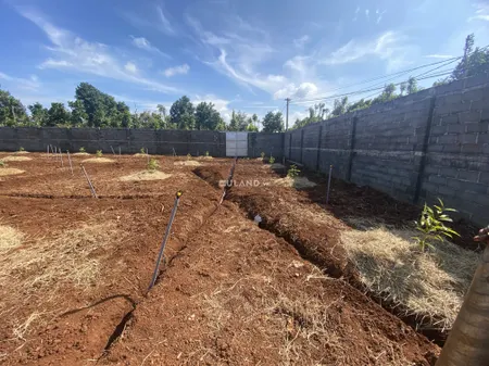 Bán  đất nông nghiệp 10000m² , giá 10 tỷ tại, Xã Hòa Thuận, Thành phố Buôn Ma Thuột, Đắk Lắk