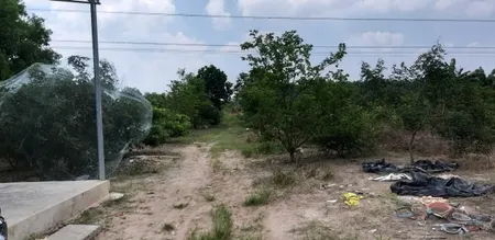 Bán đất 3800m² 5.5 tỷ tại Xã Bông Trang Huyện Xuyên Mộc