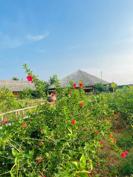 Bán lô đất ba mặt tiền đường - đã có sẵn quán cafe và homestay. LH: 0974090487
