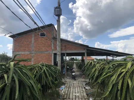 Bán đất trồng thanh long