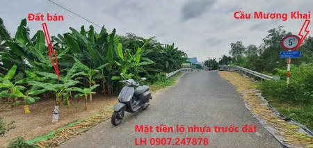 Bán đất 263m² tại Xã Tân Hạnh Huyện Long Hồ
