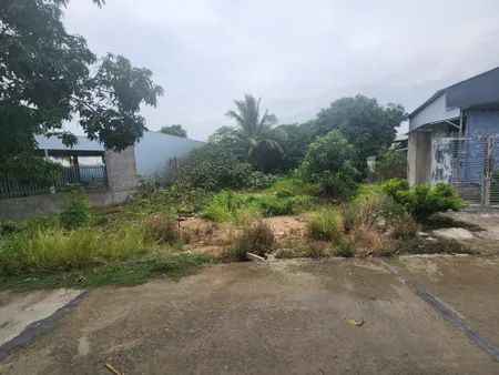 Bán đất 249m² 990 triệu tại Xã Bình Thành Huyện Thanh Bình