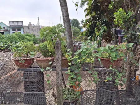 🔥 Đất 155m², Vuông, Đ.3m – Nguyễn Ảnh Thủ HM