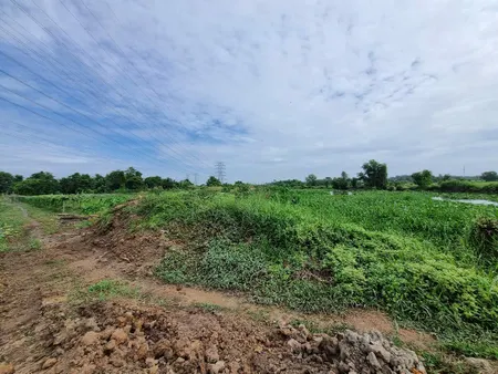 (B427) Đất mặt tiền Rạch Láng The, gần Cầu Bến Nẩy, xã Phú Hòa Đông, dt 35.360m2, đất ONT,  giá 1,2tr/m2