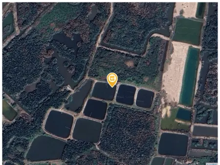 Bán đất 1000m² 1.2 tỷ tại Xã Hiệp Phước Huyện Nhà Bè