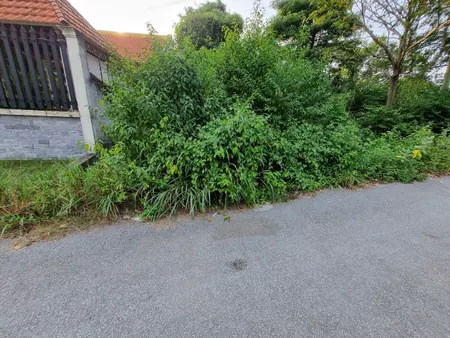 (L561)(Đã bán)  Đất 1/ Nguyễn Thị Trong, xã Trung An, dt 691m2, chưa lên thổ, chỉ 2 tỷ 500