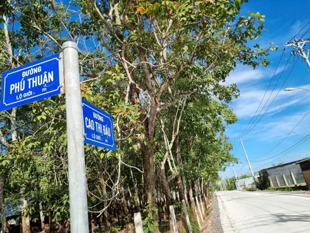 (S528) Đất đường Cao Thị Đậu (1/ Phú Thuận), xã Phú Mỹ Hưng, dt 150m2, full thổ, đất ở hiện hữu, giá chỉ 1 tỷ 450