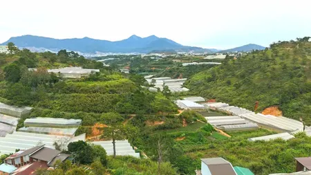 Bán đất view đồi thông khu dân cư trung tâm gần ngã Sân Vận Động Đà Lạt