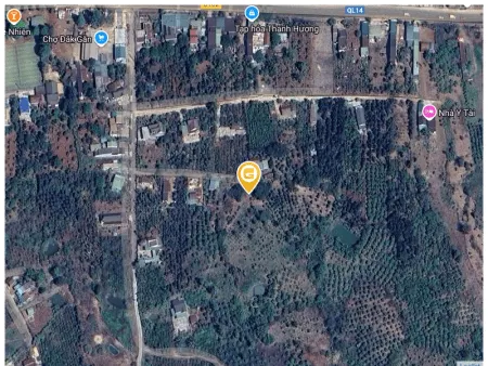 Bán đất 10000m² ngang 200m giá 1.65 tỷ tại Xã Đắk Gằn Huyện Đắk Mil