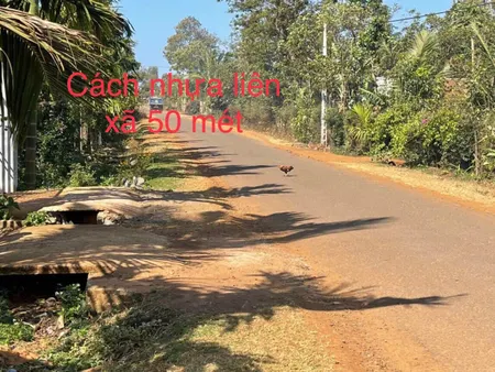 ❌❌❌ Đến ngày công chứng ko xoay kịp tiền cần bán lại lô Eadrong giáp Đạt Lý.