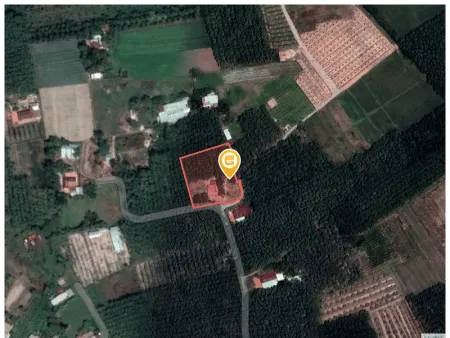 Bán đất 1100m² 2,2 tỷ tại Xã Lộc Hưng Huyện Trảng Bàng