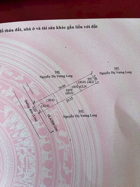 Phú thọ mt nhựa hẻm
