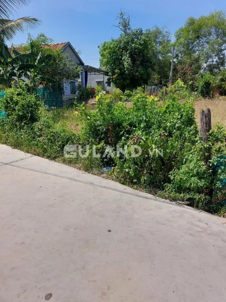 Bán đất đã đăng kí full thổ 950m² , Xã Ninh Thân, Thị xã Ninh Hòa, Khánh Hòa