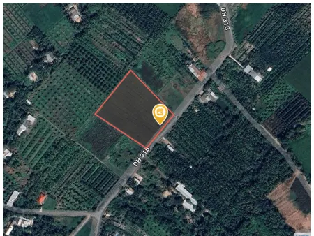 Bán đất 6842m² 9 tỷ tại Xã Chánh Hội Huyện Mang Thít