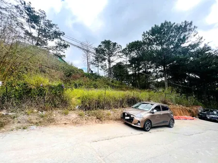 Bán đất 2 mặt tiền view đẹp rừng thông trung tâm Đà Lạt, đi chợ đêm hơn 2km