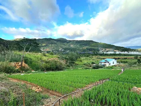 Bán đất view đẹp gần KDL Núi Voi Hiệp An, đi trung tâm Đà Lạt hơn 10km