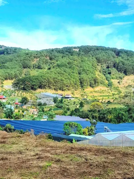 Bán đất view rừng thông khu dân cư xã Tà Nung, ra mặt tiền 725 chỉ 400m
