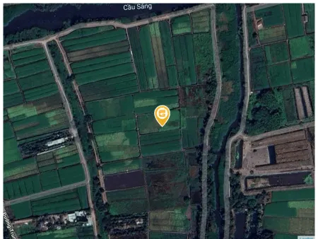 Bán đất 1959.1m² 4.5 tỷ tại Xã Thới Tam Thôn Huyện Hóc Môn