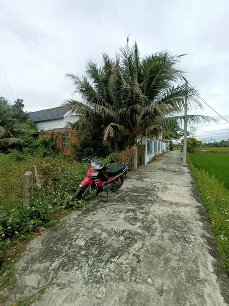 Bán đất 523m² tại Xã Ninh Quang Thị xã Ninh Hòa