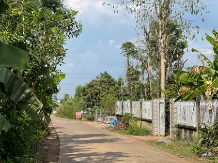 🔥Bán Vườn Mít tại 1000m² Phú Túc, Sống Xanh Sinh Thái, Giá Chỉ 850TR!🔥