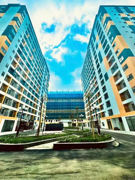 Mở bán quỹ căn hộ chung cư Nhà Ở Xã Hội Evergreen Tràng Duệ Hải Phòng