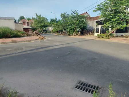 Bán đất 149m² 1.05 tỷ tại Xã Nghĩa Dũng Thành phố Quảng Ngãi