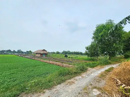 Bán đất vườn
