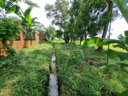 (L385) Đất gần đường Bàu Tre, Tân An Hội, dt 1000m2, giá 1 tỷ 100