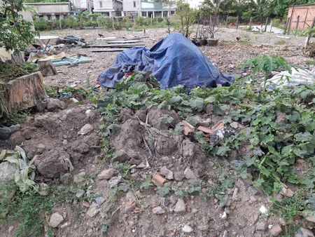 🔥 Đất 168m², Vuông, Đ.6m – Vườn Lài Q12