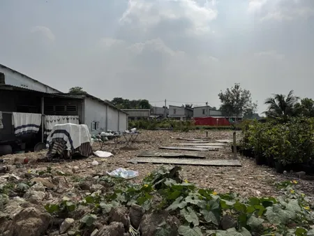 🔥 Đất 305m², Nở hậu, Đ.6m – Vườn Lài Q12