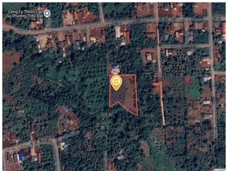 Bán đất 350m² 195 triệu tại Xã Cư Pơng Huyện Krông Búk