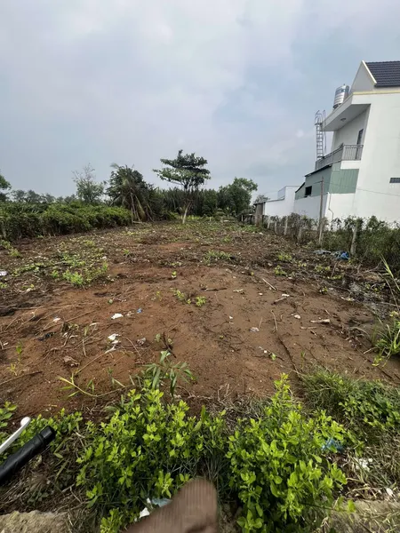 Bán đất 880m² 8.5 tỷ tại Xã An Thới Đông Huyện Cần Giờ