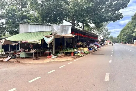 ÁN 2250M2 2SHR LỘ NHỰA THÔNG (3 KCN 240N CN) SÁT TRƯỜNG CHỢ KHO XƯỞNG QUANG MINH CHƠN THÀNH
