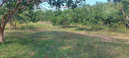 Gia đình cần bán đất vườn 12.588m2 mặt tiền đường bêtông 283m Phước Tiến, Bắc Ái Ninh Thuận. Giá 440 triệu .