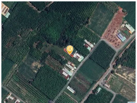 Bán đất 184.9m² 290 triệu tại Xã Truông Mít Huyện Dương Minh Châu