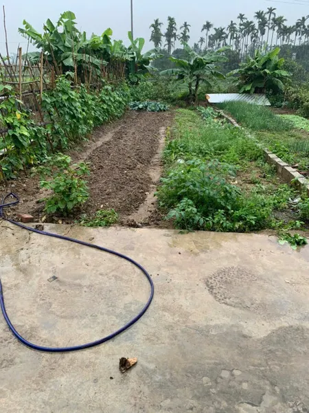 Bán đất 71m² giá.  1.15 tỷ tại Xã Lâm Động Huyện Thuỷ Nguyên. liên hệ 0362558882