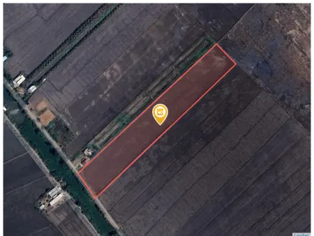 t 12419.3m² tại Xã Mong Thọ Huyện Châu Thành