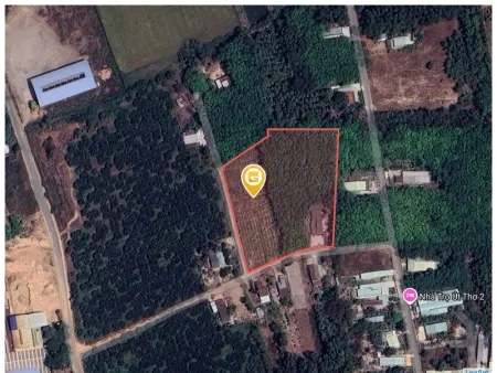 Bán đất 200m² 249 triệu tại Xã Long Vĩnh Huyện Châu Thành