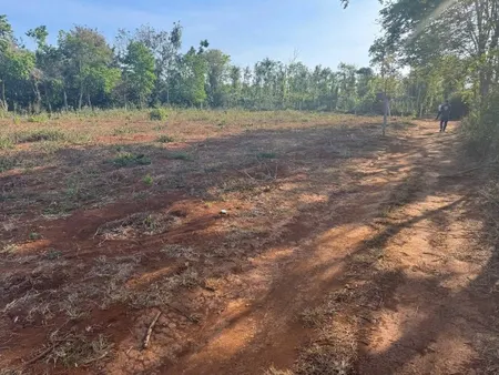323#Bán đất 1067.1m² 250 triệu tại Xã Ea D'Rơng Huyện Cư M'gar