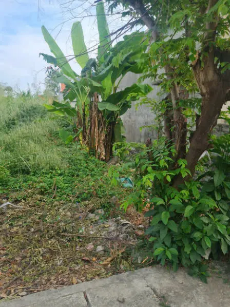 A289 - Bí Giàng - Yên Thanh - Uông Bí - Quảng Ninh