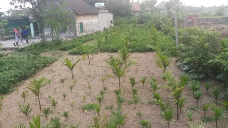 Bán đất 368m thổ thôn xuân khánh. Xã thạch bằng hà tĩnh