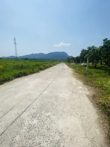 BÁN ĐẤT NÔNG NGHIỆP TẠI CAM AN AM