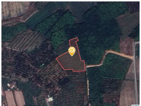Bán đất 5367m² 2 tỷ tại Xã Tân Bình Thành phố Tây Ninh