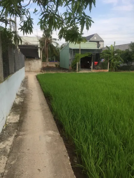 Bán đất 92m² 1 tỷ tại Xã Phước Lý Huyện Cần Giuộc