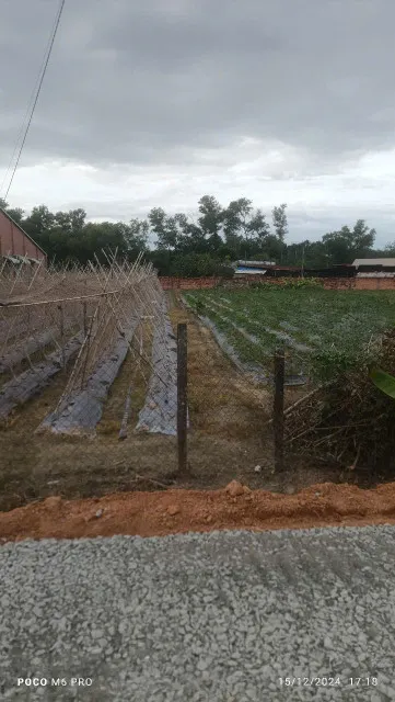 Đất sát đường Hồ Chí Minh 6x56 328m2 giá 790tr đường sắp lên nhựa SĐT: 0394694404