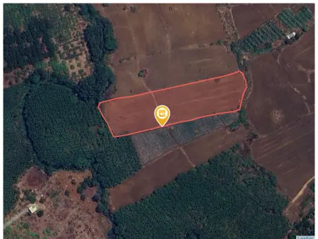 Bán đất 7.000m² tại Xã Thừa Đức Huyện Cẩm Mỹ