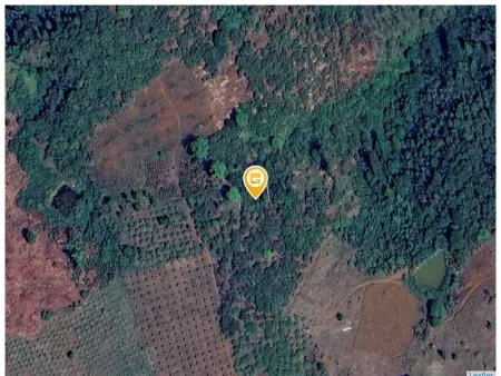 Bán đất 170000m² 1.7 tỷ tại Xã Đồng Nai Thượng Huyện Cát Tiên