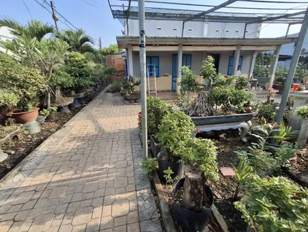 🔥 Đất 344m², Lô góc, Đ.6m – Vườn Lài Q12