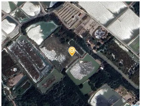 Bán đất 6500m² 15 tỷ tại Xã Bình Khánh Huyện Cần Giờ