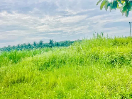 BÁN ĐẤT MẶT TIỀN ĐƯỜNG NHỰA